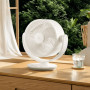 Xiaomi Smart Desktop Air Circulation Fan