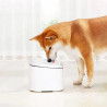Bebedouro Xiaomi Smart Pet Fountain