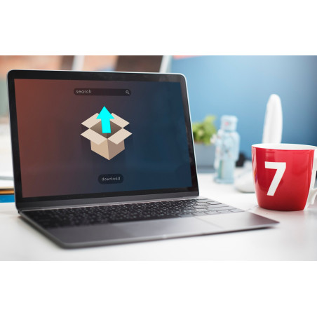 Formatação, Instalação, Atualização de Software e Configuração
