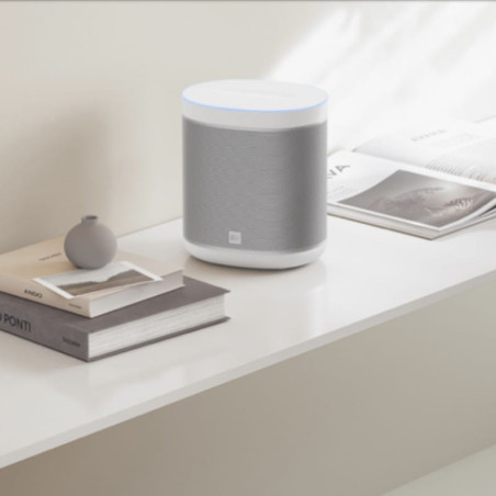 Xiaomi Mi Smart Speaker Google Assistant